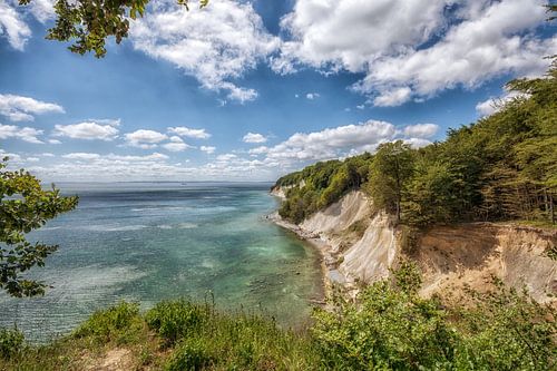 Kreidefelsen Kreideküste Insel Rügen