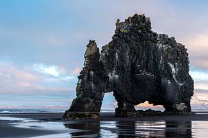 Hvítserkur, der stattliche Dinosaurier von Gerry van Roosmalen