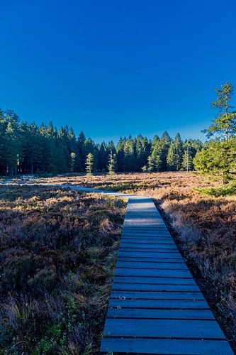 Randonnée automnale sur les hauteurs de la forêt de Thuringe