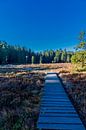 Herfstwandeling op de hoogten van het Thüringer Wald van Oliver Hlavaty thumbnail