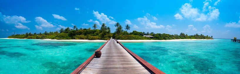 LPH 71180965 Tropical island with palm trees by BeeldigBeeld Food & Lifestyle