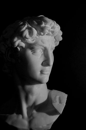 Michelangelo's David: An Iconic Masterpiece in Black and White