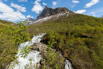 Berglandschap bij Geiranger, Noorwegen van Arja Schrijver Fotografie