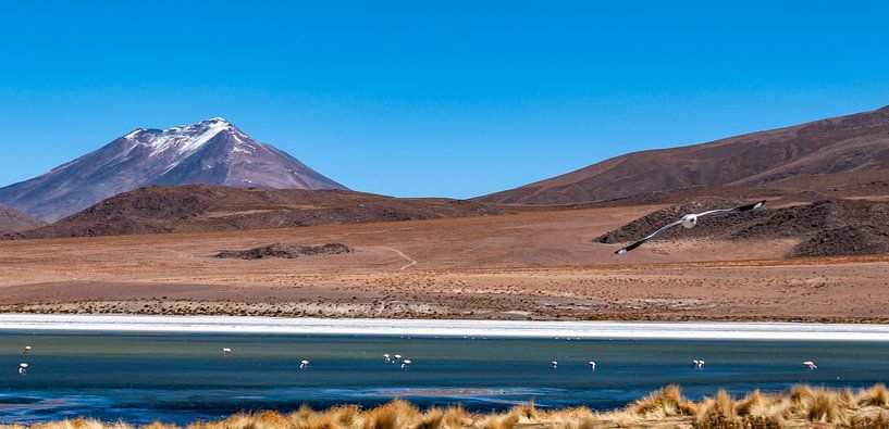 Laguna Canapa by Alex Neumayer