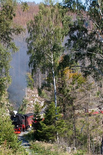 The Harz narrow gauge railway on the way to the Brocken