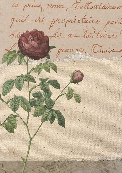 Vintage-Collage mit Blumen von Studio Allee