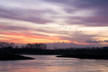 Sunrise at the water's edge by Linda Schellevis