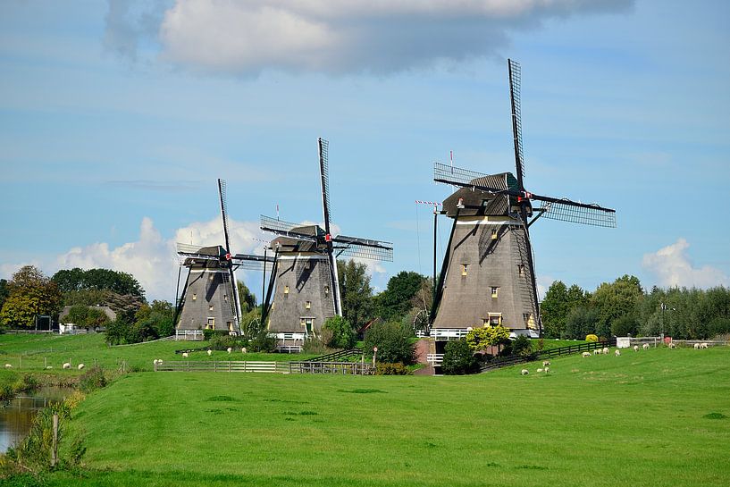 Three mills Stompwijk by Rosenthal fotografie