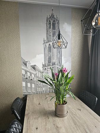 Utrecht Cathedral seen from Stadhuisbrug in black and white
