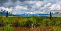 Prachtig uitzicht op de bergen van Alaska van Rietje Bulthuis thumbnail