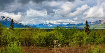 Schöne Aussicht auf die Berge von Alaska von Rietje Bulthuis