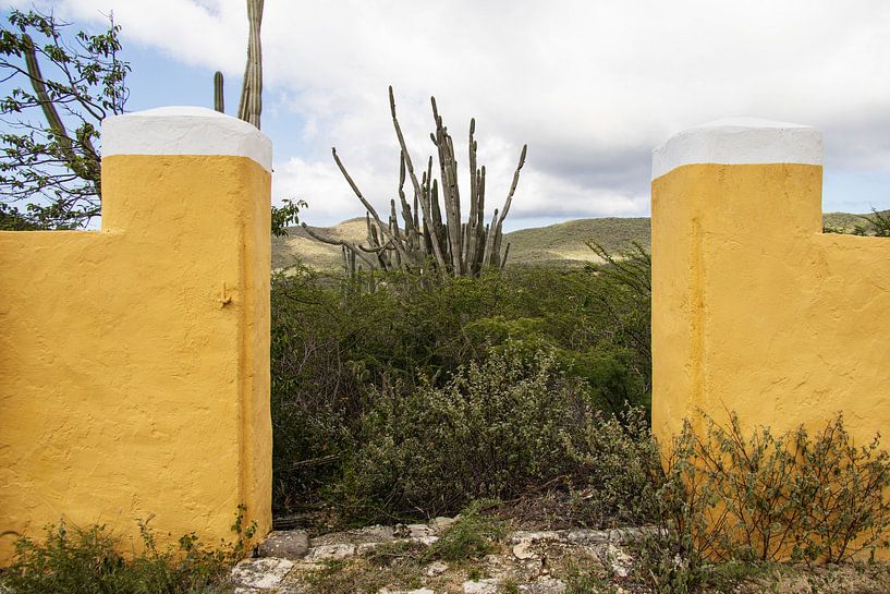 Curacao, am Sklavendenkmal. von Janny Beimers