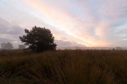 Road of Fire over the Heath