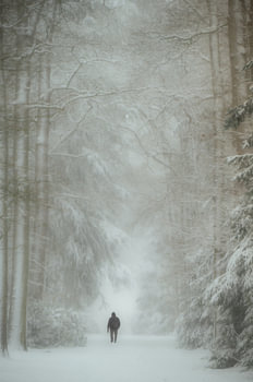 Wandering in the winter stillness
