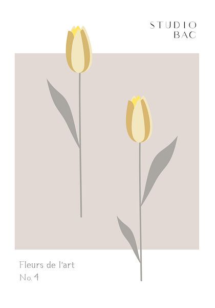 Tulips Studio Bac par Pictufy Studio II