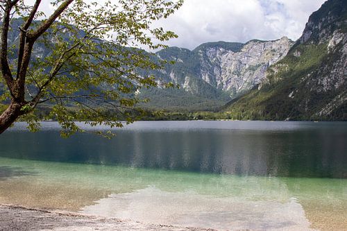 Meer van Bohinj (2)