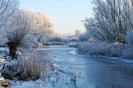 Winter in De Biesbosch van Reinier van de Pol thumbnail