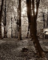 Herfst