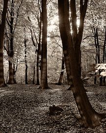 Herfst van Rien Gieltjes