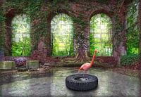 Flamingo