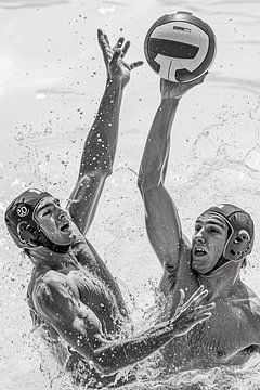 Water Polo Duel by Karina Brouwer