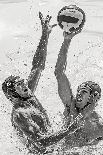 Water Polo Duel