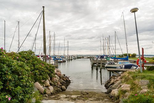 Vejle Fjord - Gezicht op de jachthaven van Rosenvold