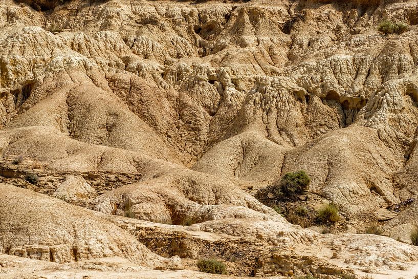 Les Bardenas Reales de près par Ineke Huizing