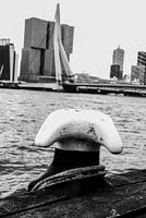 typique de Rotterdam