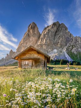 Cabane alpine avec fleurs et panoama de montagnes dans les Alpes au Tyrol / Dolomites.