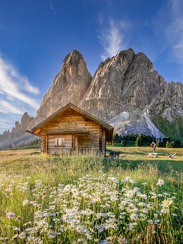Alpenhut met bloemen en bergpanorama in de Alpen in Tirol/Dolomieten. van Voss fotografie