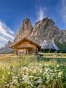Almhütte mit Blumen und Bergpanorama in den Alpen in Tirol / Dolomiten. von Voss Fine Art Fotografie Miniaturansicht