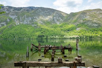 slovénie nature et eau au lac bohinj sur ChrisWillemsen