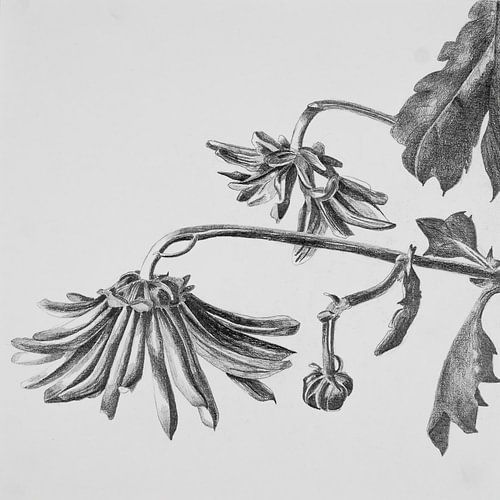 De schoonheid van verval 2