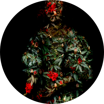 Jonge vrouw met Hortensia