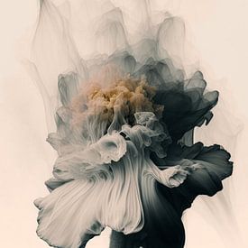 Außergewöhnliche "Explosion" einer Blume von Carla Van Iersel