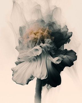 Bijzondere "explosie" van een bloem van Carla Van Iersel