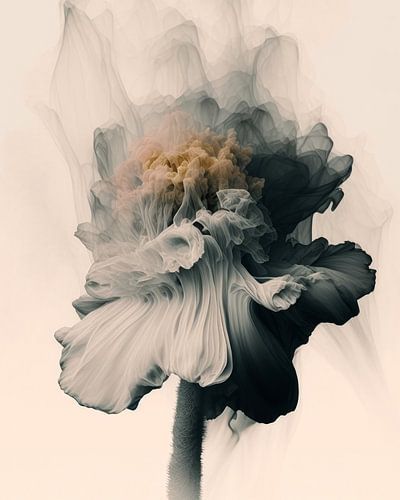 Extraordinaire "explosion" d'une fleur sur Carla Van Iersel