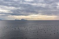 Betoverend uitzicht op de zee vanuit Napels, Italië