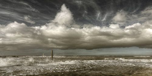 Het Haventje van Mario de Lijser