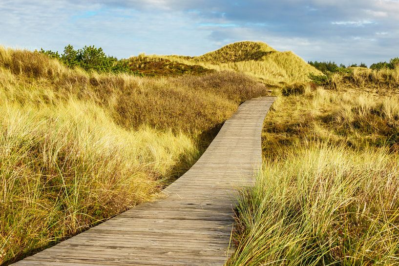 Landschaft in den Dünen auf der Insel Amrum van Rico Ködder