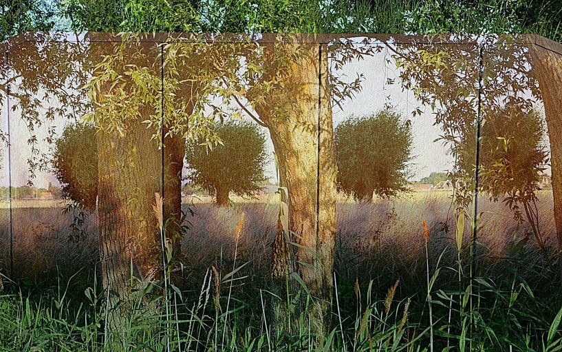 Vue encadrée par Anita Snik-Broeken