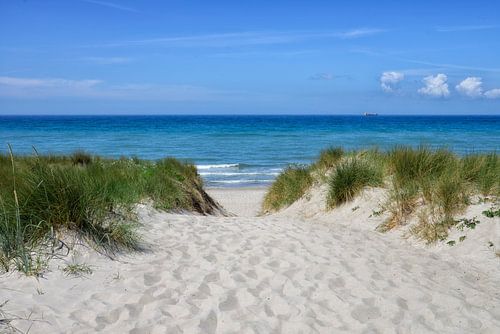 Toegang tot het strand van de Oostzee