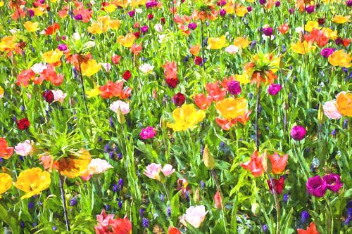 Fleurs sauvages dans les champs