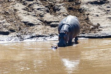 Nijlpaard met jong. van Monique van Helden