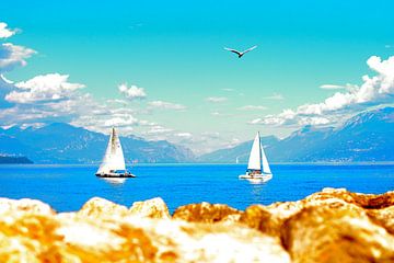 Lago di Garda van Vincent Vagevuur