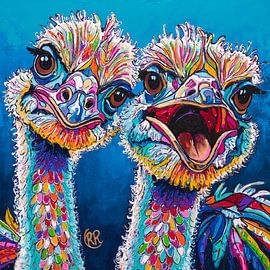 Fröhliche Strauße: Neugierige Blicke