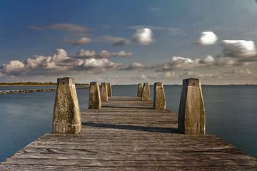 Swallows of Flakkee by Richard Looij