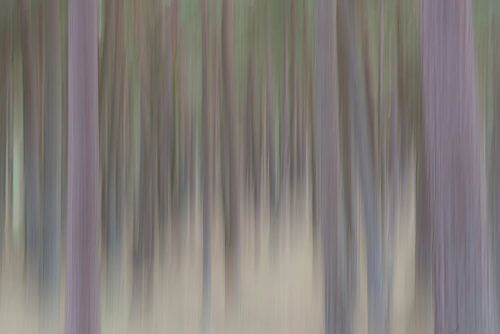 Abstracte bomen in verticale blur