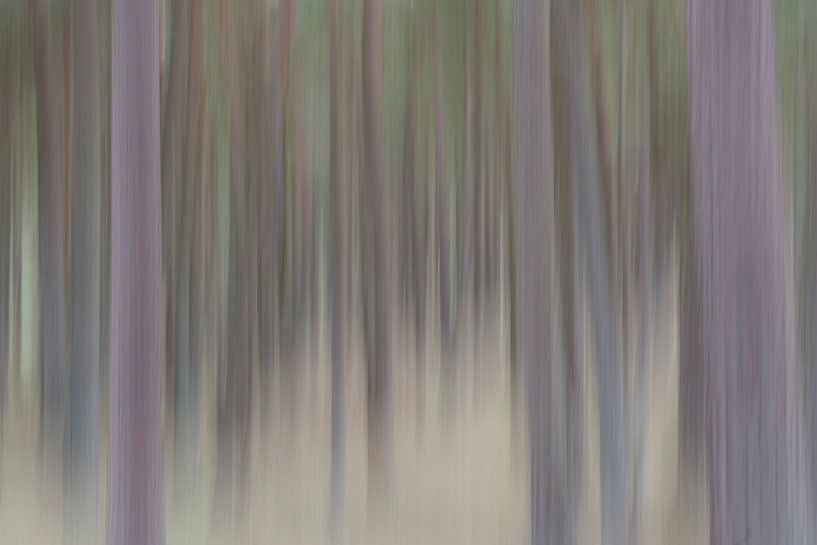 Abstracte bomen in verticale blur van Tonko Oosterink